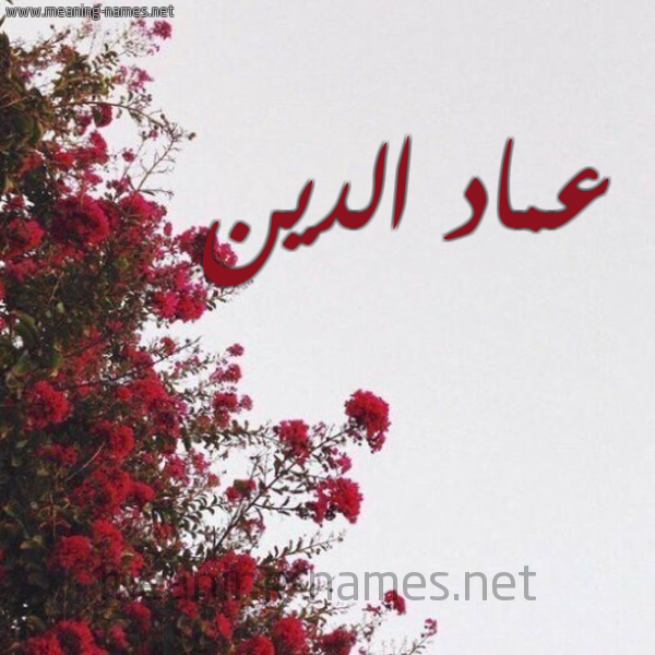 شكل 18 صوره الورد الأحمر للإسم بخط رقعة صورة اسم عماد الدين Amad-Al-Dyn